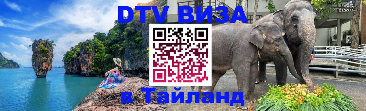 Оформление DTV визы под ключ: стоимость и тарифы, только загранпаспорт - 20.11.2025 